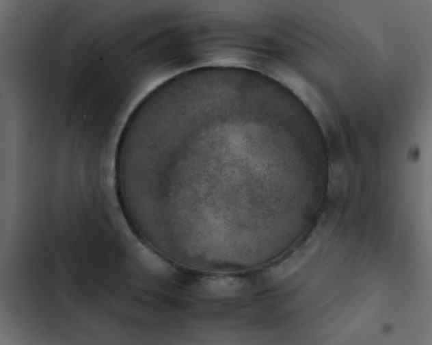 X0000103941331200809261717