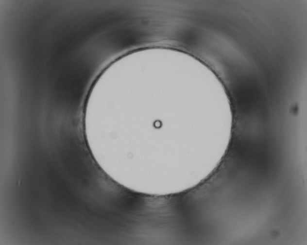 X0000103941332200809261717