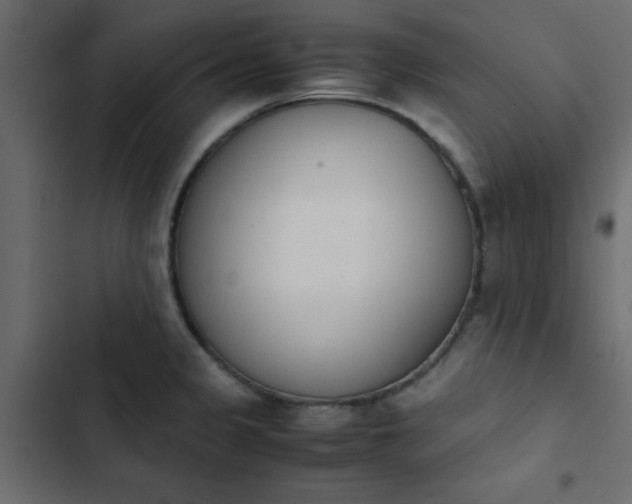 X0000103941333200809261717