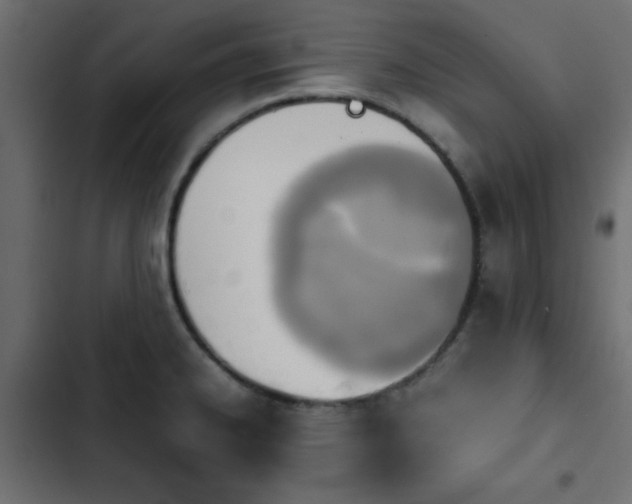 X0000103941334200809261717