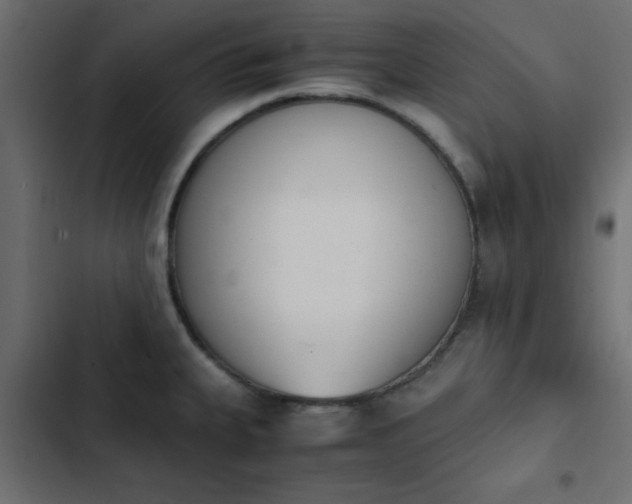 X0000103941335200809261717