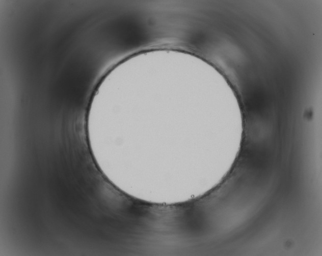 X0000103941336200809261717