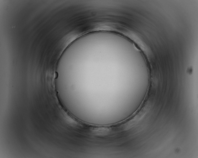 X0000103941337200809261717