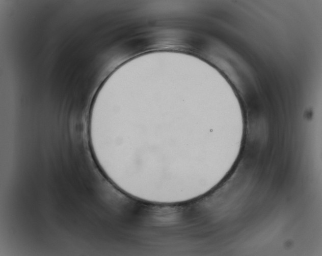 X0000103941338200809261717
