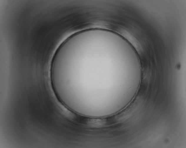 X0000103941339200809261717