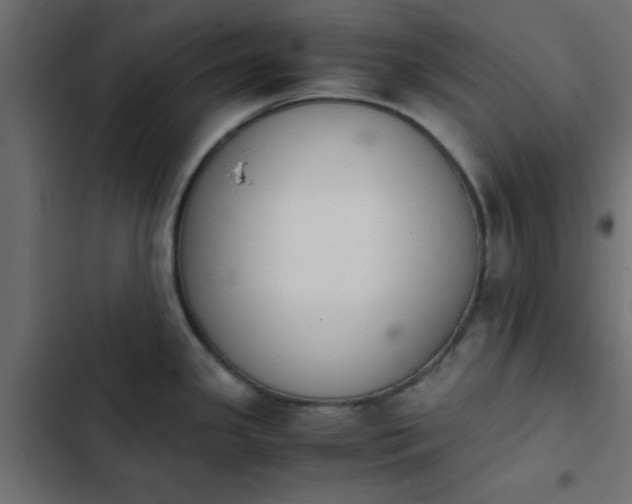 X0000103941341200809261717