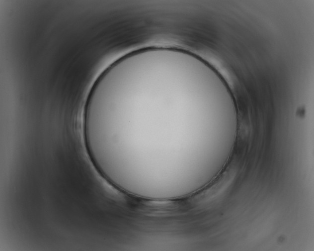 X0000103941343200809261717