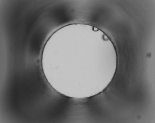 X0000103941344200809261717