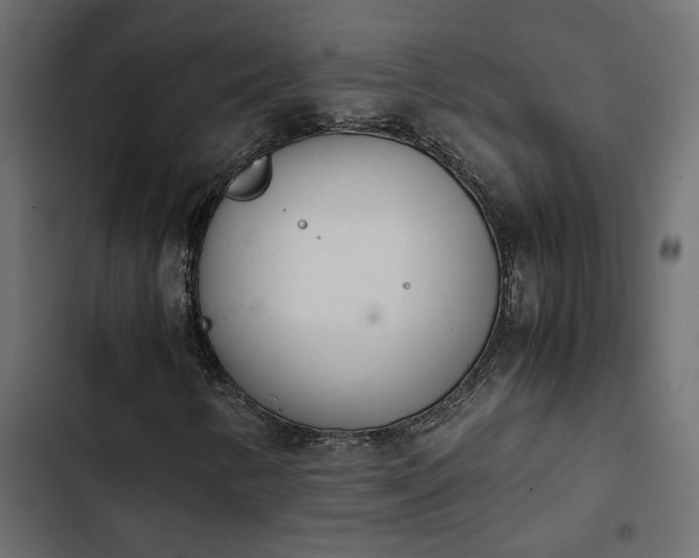 X0000103941346200809261716