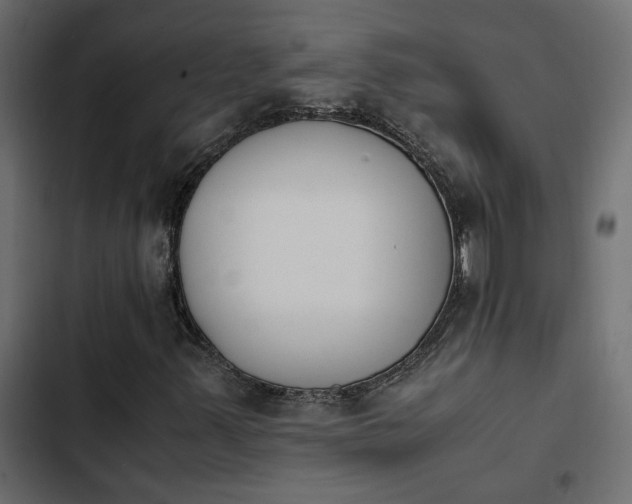 X0000103941347200809261716