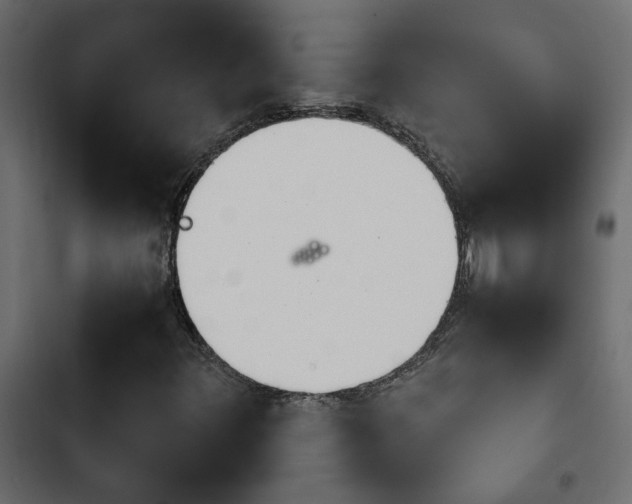 X0000103941348200809261716