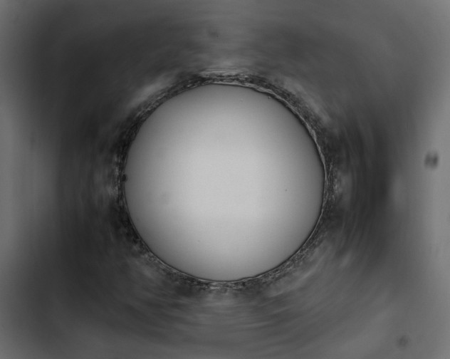 X0000103941350200809261716