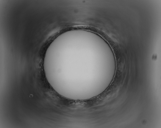 X0000103941351200809261716