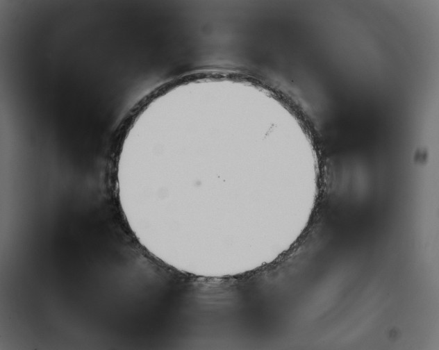 X0000103941352200809261716