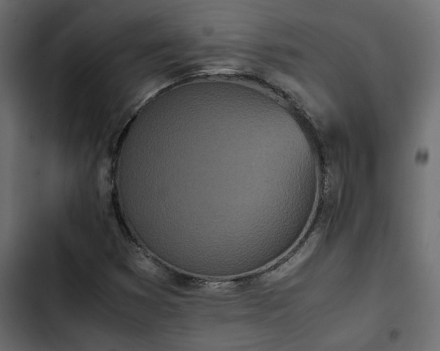 X0000103941353200809261716