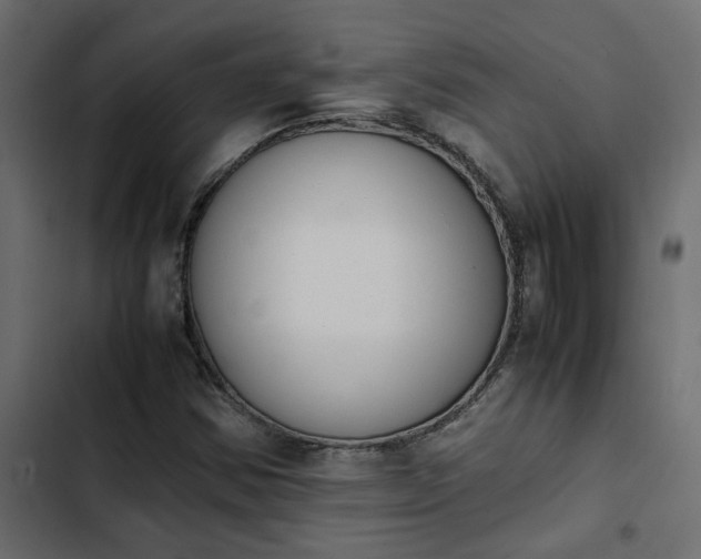 X0000103941354200809261716