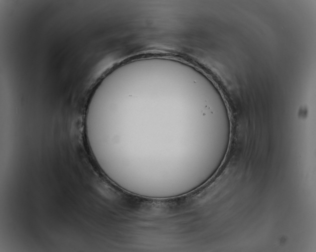 X0000103941355200809261716