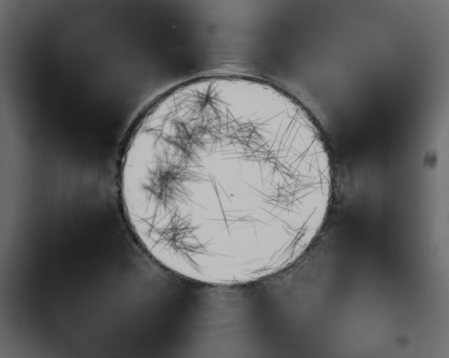X0000103941356200809261716