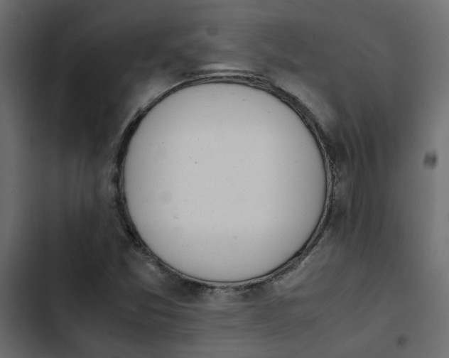 X0000103941357200809261716