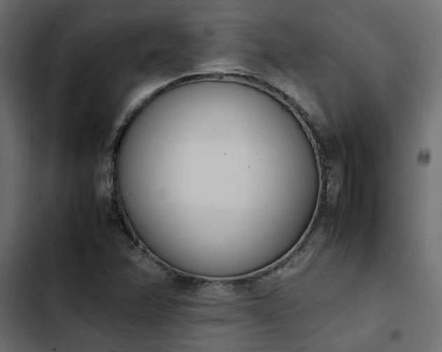 X0000103941358200809261716