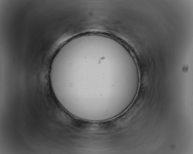 X0000103941359200809261716