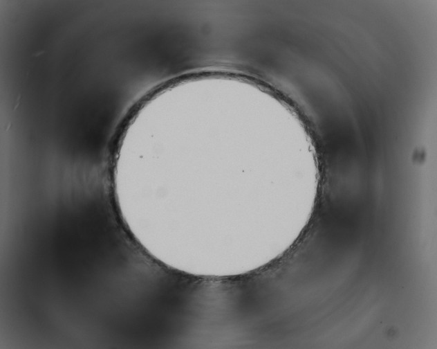 X0000103941360200809261716