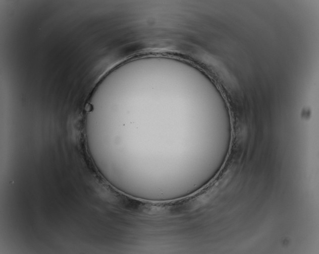 X0000103941361200809261716