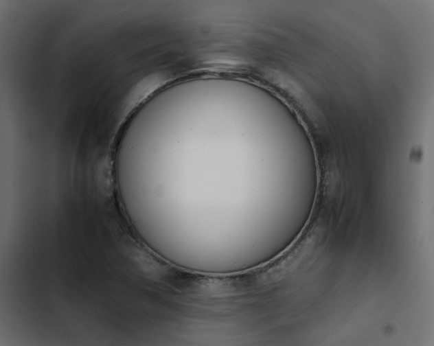 X0000103941362200809261716