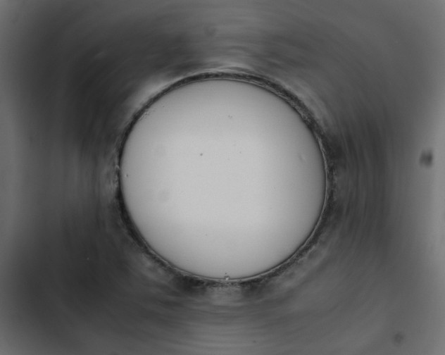 X0000103941363200809261716