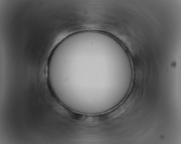 X0000103941365200809261716