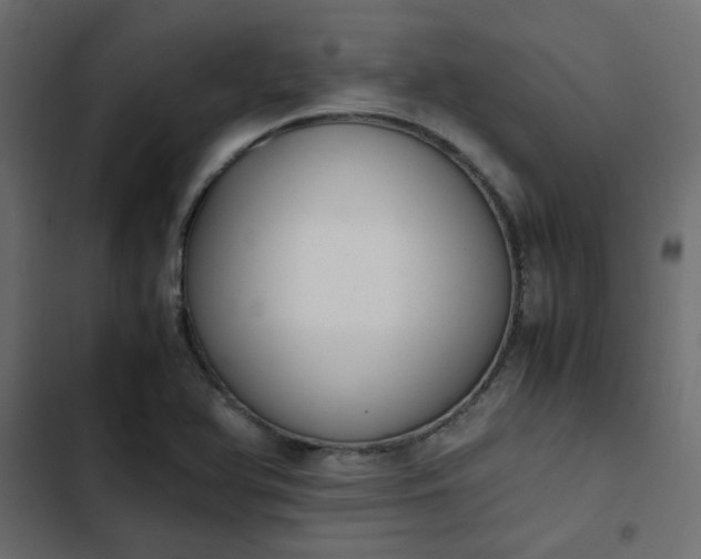 X0000103941366200809261716