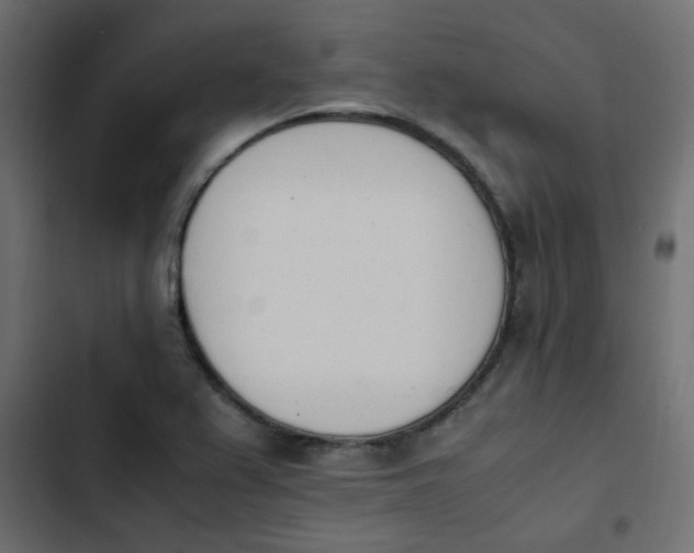 X0000103941367200809261716