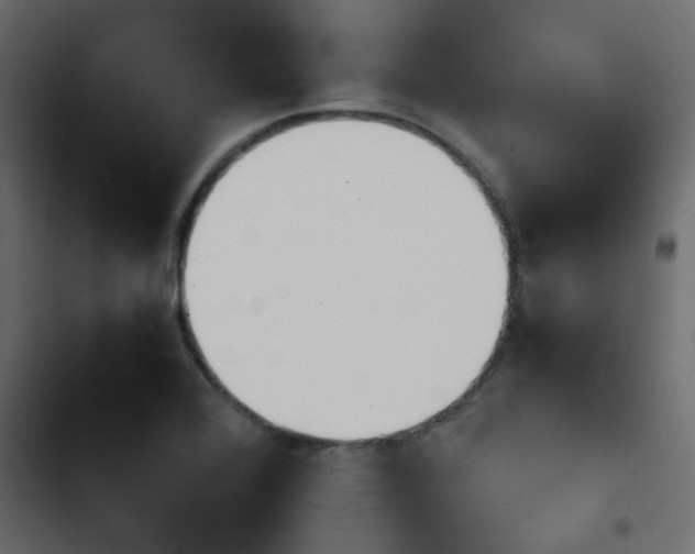 X0000103941368200809261716