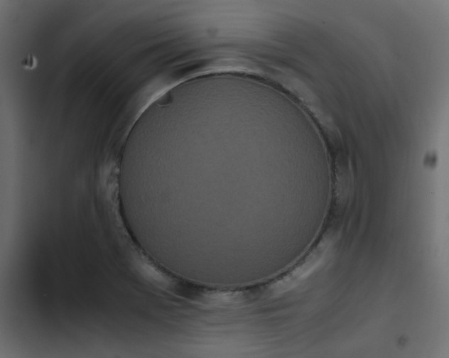 X0000103941369200809261716
