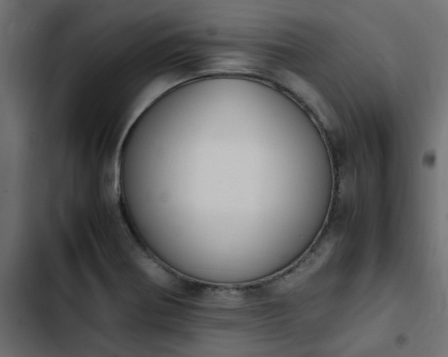 X0000103941370200809261716