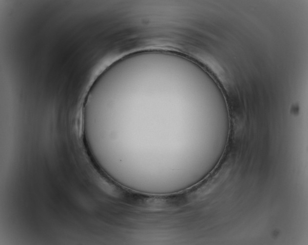 X0000103941371200809261716