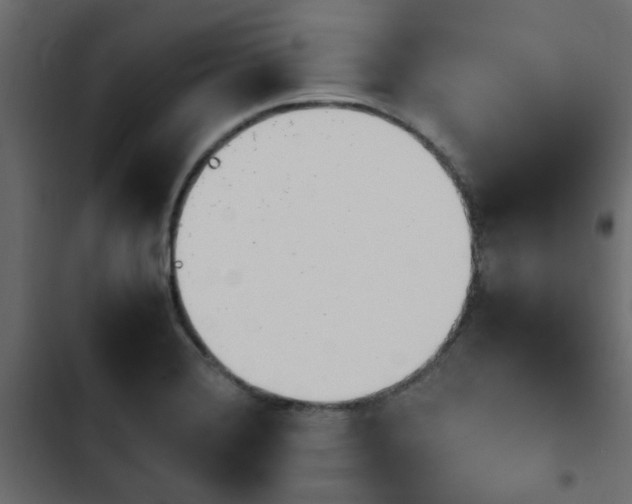 X0000103941372200809261716