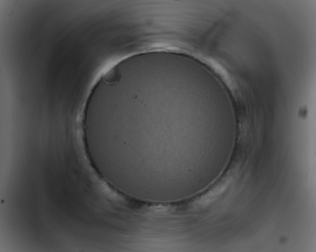 X0000103941373200809261716