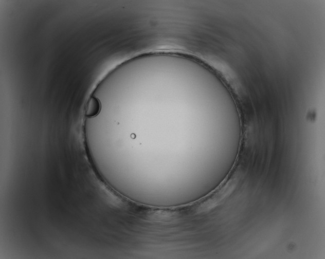 X0000103941374200809261716