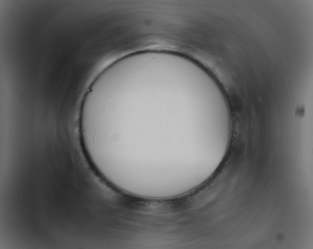 X0000103941375200809261716