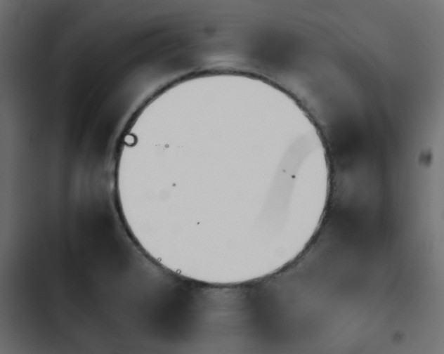 X0000103941376200809261716