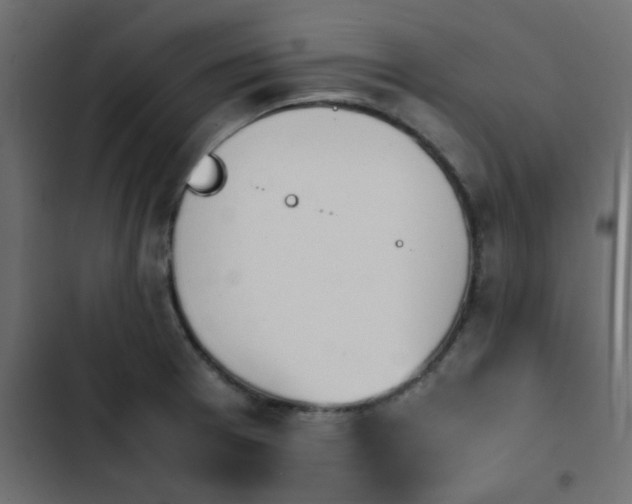 X0000103941377200809261716