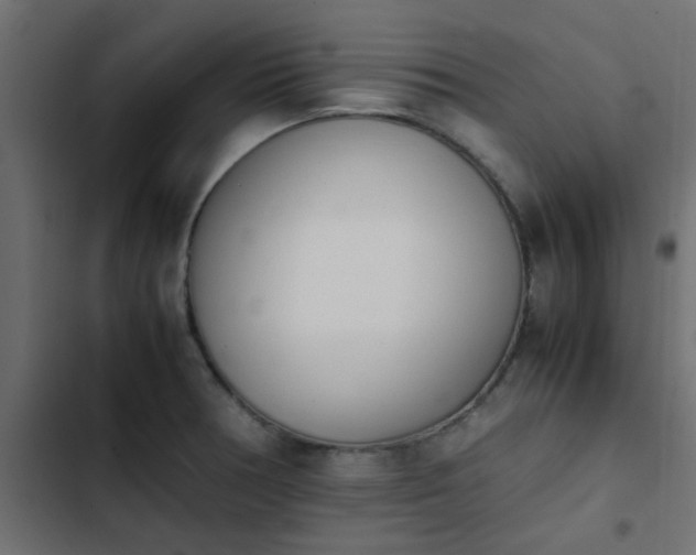 X0000103941378200809261716