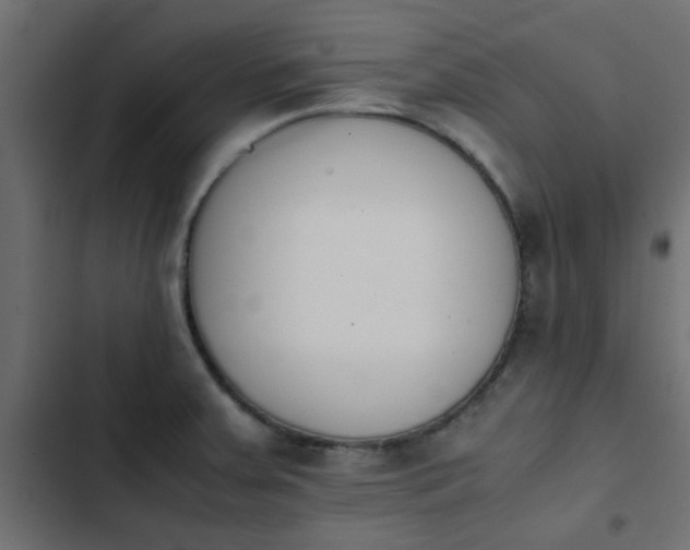 X0000103941379200809261716