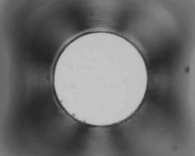 X0000103941380200809261716