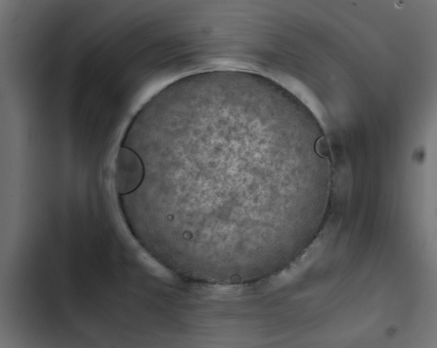 X0000103941381200809261716