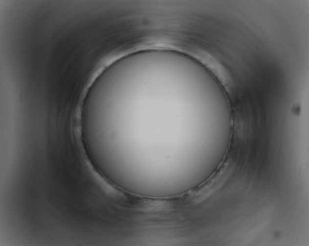 X0000103941382200809261716