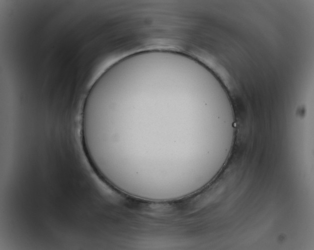 X0000103941383200809261716