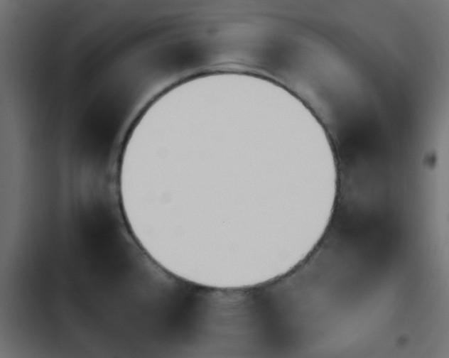 X0000103941384200809261716