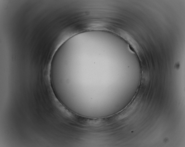X0000103941386200809261716